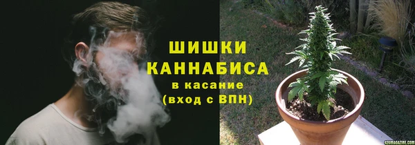 скорость Шали