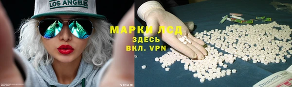трава Михайловск