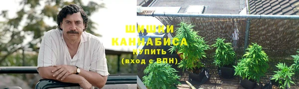 скорость Шали