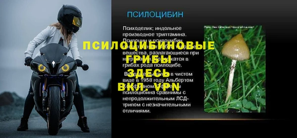 скорость Шали