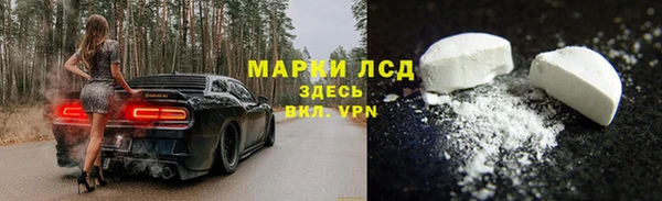 скорость Шали