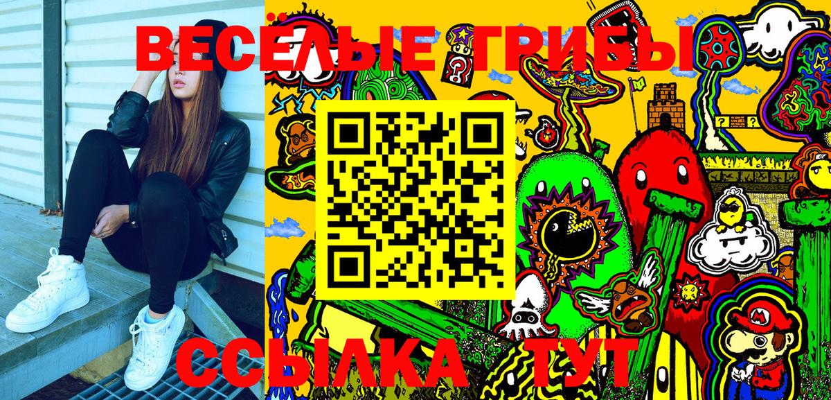 Галлюциногенные грибы Magic Shrooms  Ачинск  Псилоцибиновые грибы GOLDEN TEACHER 