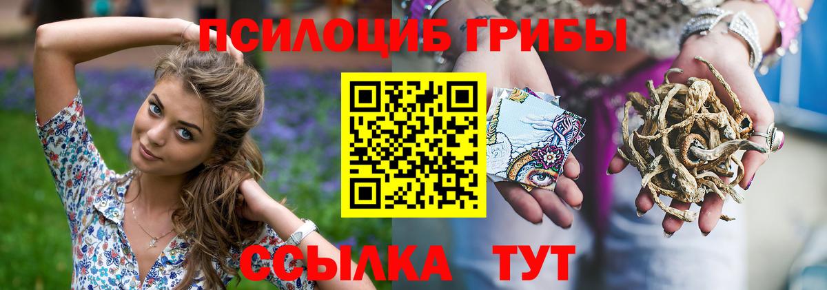 Галлюциногенные грибы мухоморы Ачинск