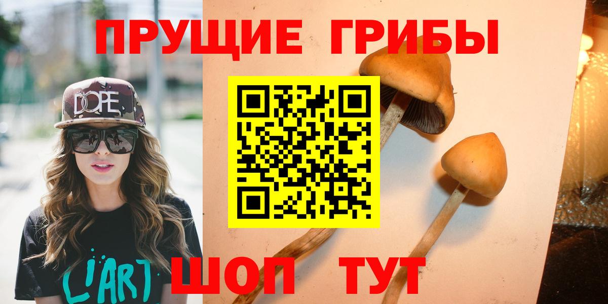 Галлюциногенные грибы мицелий  Вход с VPN  Ачинск 